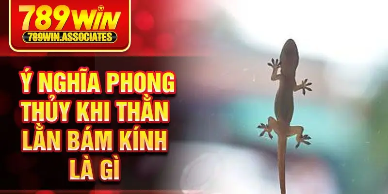 Thằn Lằn Bám Kính Là Gì? Điều Tra Về Ý Nghĩa Và Điềm Báo 2 ý nghĩa phong thủy khi thằn lằn bám kính là gì