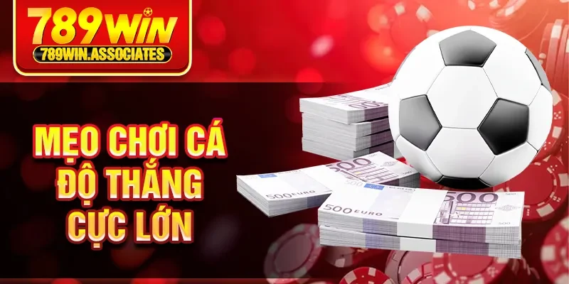 Mẹo chơi cá độ thắng cực lớn