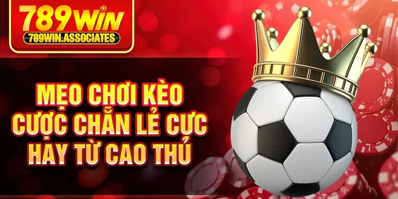 Mẹo chơi kèo cược chẵn lẻ cực hay từ cao thủ